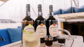 Porto 4H: Charm cruise, wine tasting and vintage van tour