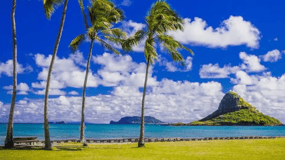From Waikiki: Oahu Circle Island Tour