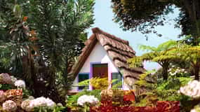 Madeira East Island Tour and Levada Walk