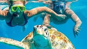 Riviera Maya: zwemmen met schildpadden, cenote en Mexicaanse lunch.