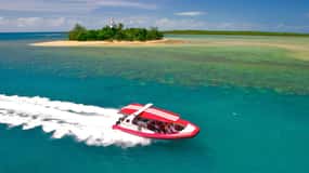 Port Douglas: Douglas Douglas: Half-Day Low Island and Lagoon Snorkeling Tour: Half-Day Low Island and Lagoon Snorkeling Tour