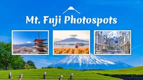 Z Tokia: Mount Fuji Highlight Photo Spots Celodenní výlet do Tokia