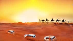 Dubai: Desert Safari, Camel, Quad Ride & Mesmerizing Shows