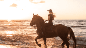 Side: Horseback Riding Tour in Nature with Transfer