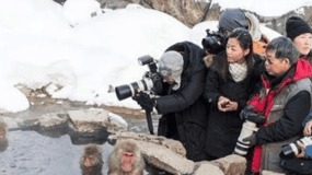 Nagano & Tokyo: Snow Monkey & Zenkoji Temple Private Tour