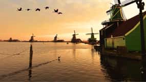 Amsterdam: Tour privato Giethoorn, Zaanse Schans Guida Locale