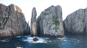 Visite de la péninsule de Tasman, croisière et site historique de Port Arthur