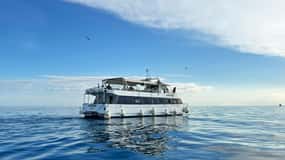 From Pula: Rovinj & NP Brijuni cruise with Red Island visit