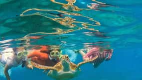 West Palm Beach: Blue Heron Bridge Guided Snorkeling Tour