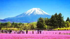 Tokio: Excursión de 1 día al Monte Fuji, Lago Kawaguchi y Oshino Hakkai