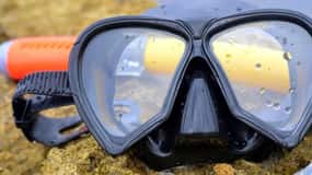 From Cancun: Snorkeling Cozumel The Heaven