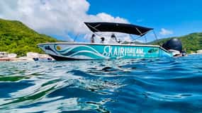 Martinique: journée complète en bateau : Dauphins et tortues