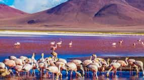 From Atacama | Uyuni salt flat 4 days the largest salt flat