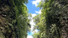 Pacuare River Rafting