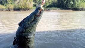 The best Litchfield Tour and the best Crocodile Cruise VIP