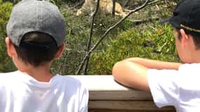 Plettenberg Bay: EcoKidz Family Challenge Wildlife Tour