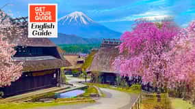 Tokyo: Full-day Tour of the Four Majestic Spots of Mt Fuji