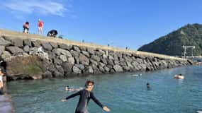 Jeju: Tour privato con una guida in inglese e un veicolo