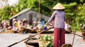 Ho Chi Minh Private Tour: Full Day Mekong Delta Tour