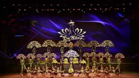 Da Nang: Charming Da Nang Show Ticket