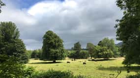 Lo más destacado del Parque Nacional de Killarney