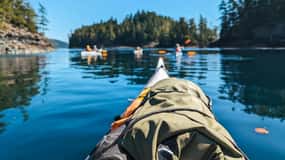 Telegraph Cove: Passeio de caiaque de meio dia