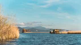 Viareggio: Natural Reserve Sunset Canoe Tour with Aperitif