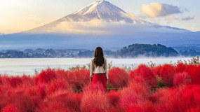 Tokyo: Mount Fuji & Hakone Private Customizable Day Tour