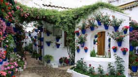 Vistas, sonidos y olores de los patios de Córdoba
