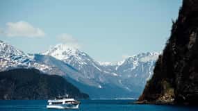 Seward: Kenai Fjords National Park Glacier & Wildlife Cruise