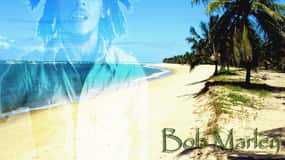 Montego Bay: Excursão de Bob Marley a 9 Mile, St. Ann
