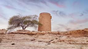 Doha: Private Tour durch den Norden von Katar, Zubara Fort und Mangroven