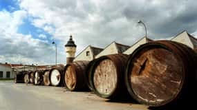 Pilsner-bryggeri og Nizbor-glasfabrik - kombineret tur