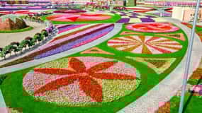 Dubai: Miracle Garden and Global Village Entry with Transfer