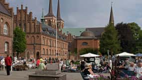 København: Rundtur i Roskilde, vikingebyen på engelsk