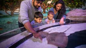 Niagara: Aquarium of Niagara Almindelig adgang