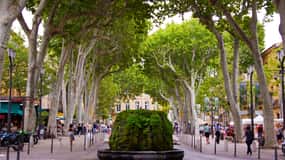 Aix-en-Provence: Half-Day Shore Excursion Tour