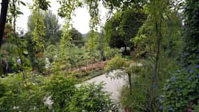 Från Paris: Giverny och Monets hem Dagsutflykt
