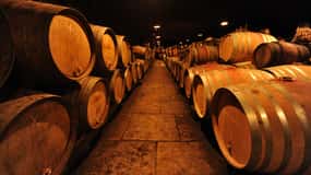 Tour de cata de vinos de Borgoña de día completo desde Dijon