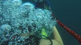 Découvrez la plongée sous-marine à Dubaï, Essayez la plongée - cours PADI