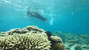 Private Snorkeling Gili Gede, GIli Asahan, Gili Goleng Tour