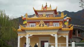 Dharamsala Half Day Sightseeing Tour