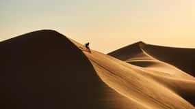Riyadh: Sanddünen-Wüstensafari, Quadfahren, Kamelritt