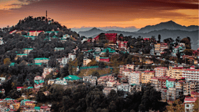 Shimla Nature Walk (3 Hours Guided Trekking Experience)