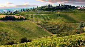 From Pisa or Lucca: Half-Day Tuscany Chianti Wine Tasting