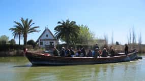 Vanuit Valencia: Albufera Natuurpark Bus, Cruise en Lunch