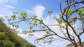 Huatulco : tour en bateau dans les baies de Huatulco