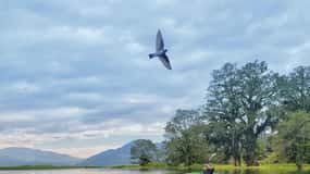From San Pedro Sula: Yojoa Lake Day Trip