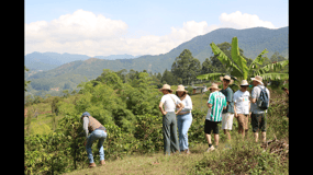 Salento: Traditional Coffee Tour with Jeep Willys Ride