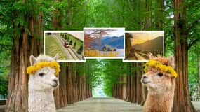 Seúl: El Mundo de la Alpaca y la Isla de Nami (+Gangchon Railbike)